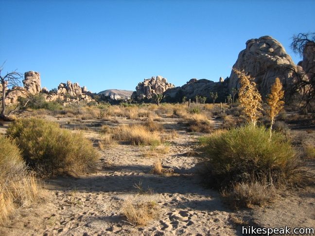 Joshua Tree Hidden Valley Trail