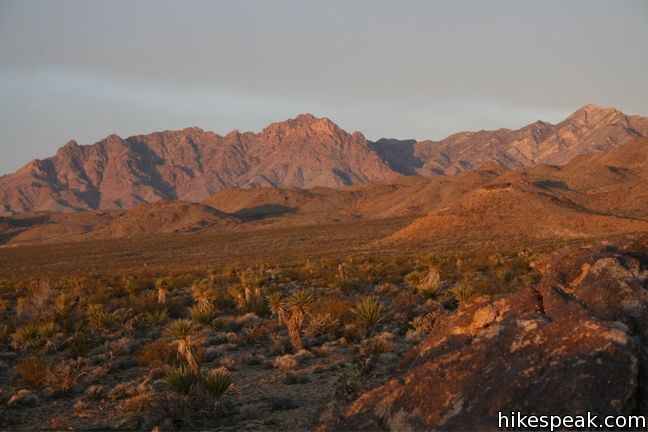 Mojave National Preserve Camping