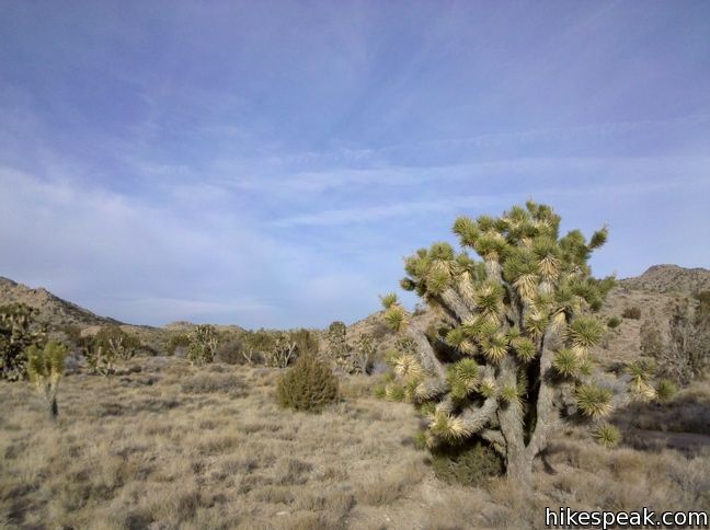 Mojave New York Peak