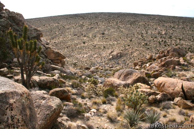 Teutonia Peak Mojave