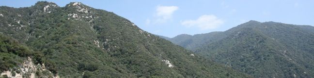 Santa Anita Canyon Loop