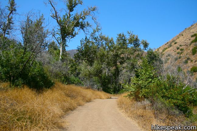 Solstice Canyon Trail Malibu