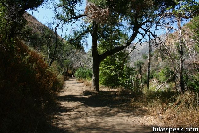 Solstice Canyon Trail Malibu