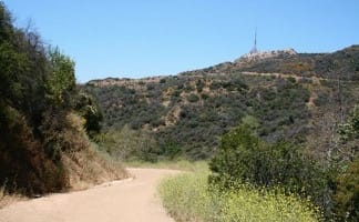 Brush Canyon Trail to the Hollywood Sign in Griffith Park