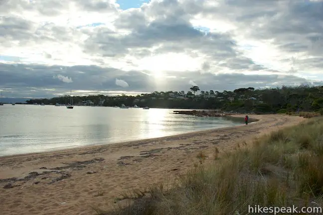 Richardsons Beach Coles Bay