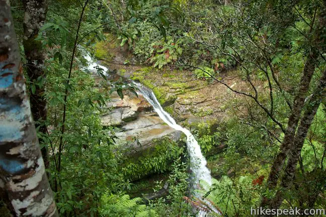 Liffey River Upper Cascades