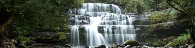 Liffey Falls State Reserve Liffey Falls Nature Walk Liffey Walking Trail Tasmania Australia