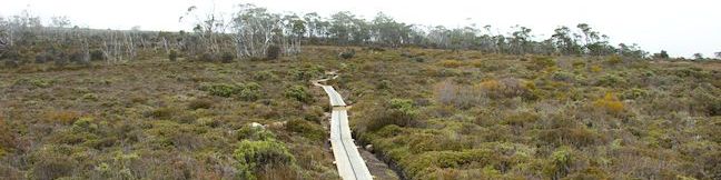 Moorland Mosaic Walking Track Mount Field National Park hike Tasmania Australia