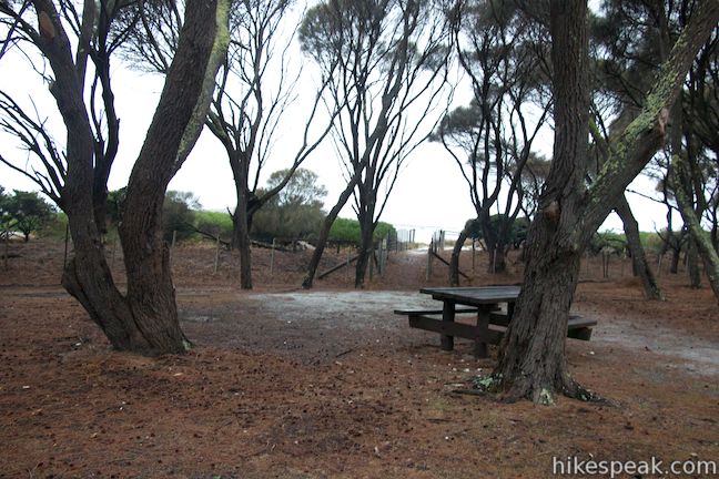 Stumpys Bay Mount William National Park