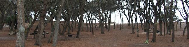 Stumpys Bay Campground Mount William National Park Tasmania Australia Stumpys Campsites