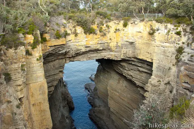 This short walk overlooks a natural bridge in cliffs on the coast of the Tasman Peninsula.