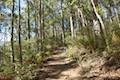 Cape Raoul Track Tasman Peninsula