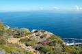 Cape Raoul Track Tasman Peninsula