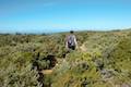 Cape Raoul Track Tasman Peninsula