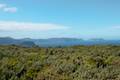 Cape Raoul Track Tasman Peninsula