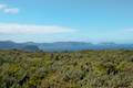 Cape Raoul Track Tasman Peninsula