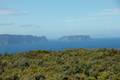 Cape Raoul Track Tasman Peninsula