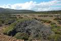 Cape Raoul Track Tasman Peninsula