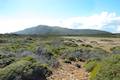 Cape Raoul Track Tasman Peninsula