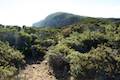 Cape Raoul Track Tasman Peninsula