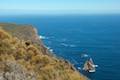 Cape Raoul Track Tasman Peninsula