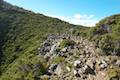 Cape Raoul Track Tasman Peninsula