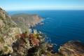 Cape Raoul Track Tasman Peninsula