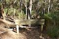 Cape Raoul Track Tasman Peninsula