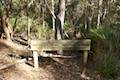 Cape Raoul Track Tasman Peninsula