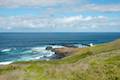 Phillip Island Walk