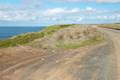 Phillip Island Walk