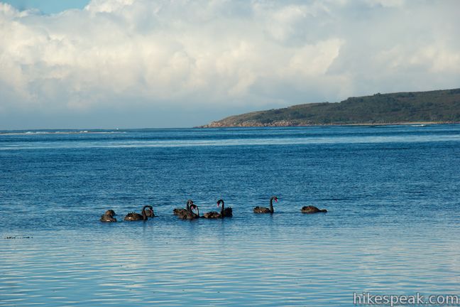 Newhaven Beach