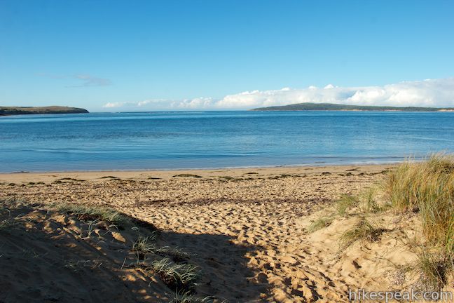 Newhaven Beach