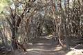 South Norman Bay Track Wilsons Promontory National Park