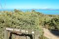 Norman Point Wilsons Promontory National Park