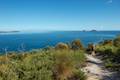 Norman Point Track Wilsons Promontory National Park