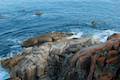 Norman Point Track Wilsons Promontory National Park