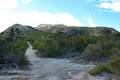 Norman Point Track Wilsons Promontory National Park