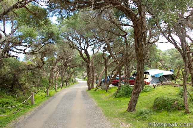 Tidal River Campground Wilsons Promontory National Park