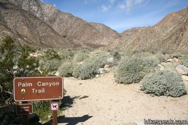 Borrego Palm Canyon Trail Anza-Borrego Desert State Park