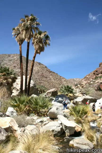 Borrego Palm Canyon Trail Anza-Borrego Desert State Park