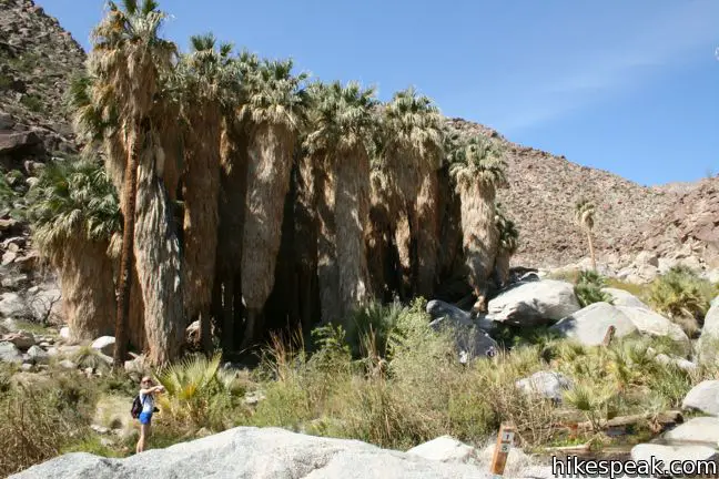 Borrego Palm Canyon Trail Anza-Borrego Desert State Park