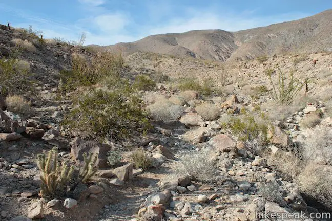 Cactus Loop Trail Anza-Borrego Desert State Park
