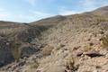 Cactus Loop Trail Anza-Borrego Desert