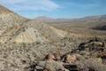 Cactus Loop Trail Anza-Borrego Desert
