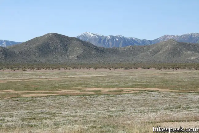 Anza-Borrego Desert State Park Camping