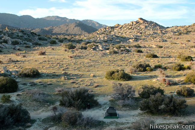 Culp Valley Primitive Campground Anza-Borrego Desert State Park