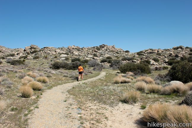 Anza-Borrego Desert Culp Valley Trail