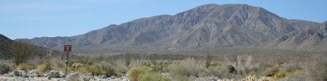 Elephant Trees Trail in Anza-Borrego Desert State Park