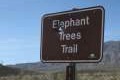 Elephant Tree Trail Anza-Borrego Desert